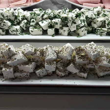 Aqua Dolphin 라브다